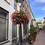 Arnhem straatje Smaken en Straten Stadswandeling